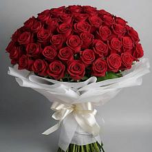 Букет 101 Красная роза Блэк Мэджик в Марфино