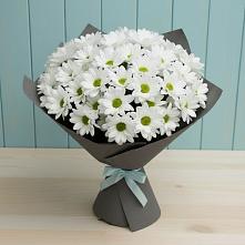 Букет цветов из:  Хризантемы #REPLACE_PRED# Марфино