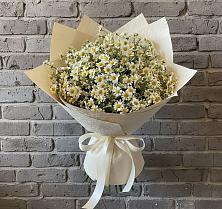 Букет цветов из:  Ромашки #REPLACE_PRED# Марфино