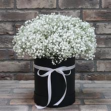 Цветочная композиция из Гипсофила в шляпной коробке #REPLACE_PRED# Марфино