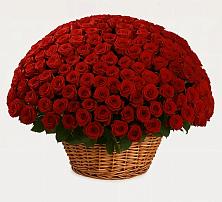 Премиум букет из: Розы #REPLACE_PRED# Марфино